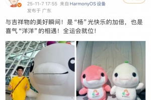 孙杨晒与全运会吉祥物合影：与吉祥物的美好瞬间，全运会就位！