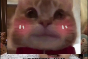 朱开：很多LPL队伍迷信韩国教练 但不了解中国文化会浪费磨合时间