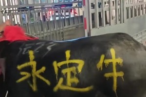 NBA得分后卫历史排名公布，艾佛森力压哈登，乔丹科比前二！