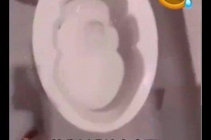 国外的黑粉也太过分了，竟说这个马桶像詹姆斯