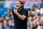 英超主帅下课赔率榜出炉，法尔克1.50领跑